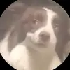 Megan Sims - @meganjrenee1 - TikTok