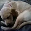 Meaghan Ogle - @momstermogle - TikTok