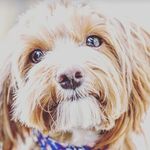 Megan Oldham - @oldham4502 - Instagram
