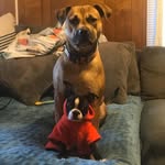 Megan Oney - @great_ful_dead - Instagram