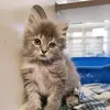 Megan.hosler_ - @megan_hosler._ - TikTok