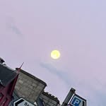 Megan Pendleton - @megan.pendleton.50 - Instagram