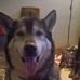 Megan Pendleton - Facebook