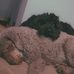 Megan Pickard - Facebook