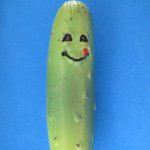Megan Pickle - @picklegirl987 - Instagram