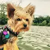 Megan Rapp - @mrapp122823 - TikTok