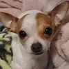 meganrioux565 - @meganrioux565 - TikTok