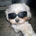 Megan Rose Adolfo - Facebook