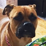 Megan Rossiter - @mnrossiter - Instagram