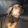 Megan Schaffer - @meganjsch - TikTok