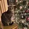 meganschuler6 - @megan.schuler7 - TikTok