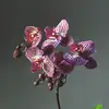 Megan J Seiter - @ms_fineart - TikTok