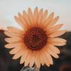 Megan 🌼 - @meganshuler1989 - TikTok