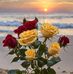 Meghann Skipper - Facebook