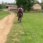 Megan Sneed - @pirate4life12 - Instagram