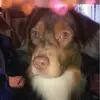 Megan Sneed - @megansneed - TikTok