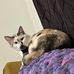 Megan Spaulding - Facebook