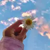 megan_steer - @megan_steer - TikTok