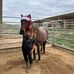 Meagan Strait - Facebook