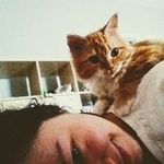 Megan Strait - @megankstrait - Instagram