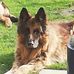 Megan Taubert - Facebook