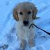 Megan Viars - Facebook