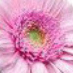 Megan Wakeman - @mbwpeace - Instagram