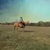 meganwarden2 - @meganwarden2 - TikTok