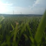Megan Warnock - @photography_for_fun_01 - Instagram