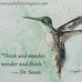Megan Weatherbee - Facebook