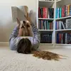 Megan Winter - @bookedwithmeg - TikTok