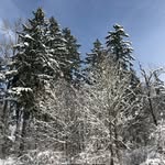 megan_witte - @meg_witte1 - Instagram