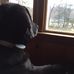 Meghan Witte - Facebook