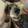 megan..... - @megankring - TikTok