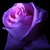 Megan.Bates - @ashletlbqcj - TikTok