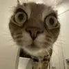 Meghan Berg - @meghan.berg6 - TikTok
