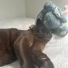 meg.brophy - @meg.brophy - TikTok