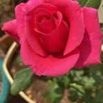 V Meghana V Buddi - @vmeghanavbuddi - Instagram