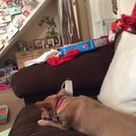 Megan Burch 101 - @meganburch101 - Instagram