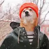 Megan Carson - @megan.carson68 - TikTok