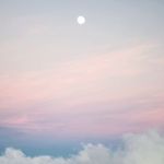 Megan Coe - @mcoe17 - Instagram