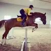 meghandowning732 - @meghandowning732 - TikTok