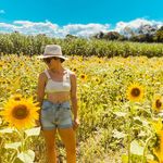 Megan Fallon - @meganjfallon - Instagram