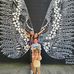 Meghan Grady - Facebook