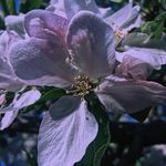 Meghan - @meghangradyphotography - Instagram