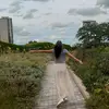 Megan Greene - @megan.greene - TikTok