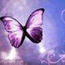 Megan Haight - Facebook
