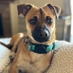Meghan Hess - @nutmeg1970 - Instagram