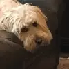 Meghanhess489 - @user62146775 - TikTok