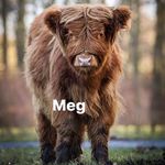 ☆Meg☆ - @meghan.kirk - Instagram